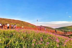 秋遇贵州：在全方位体验中解锁新旅程
