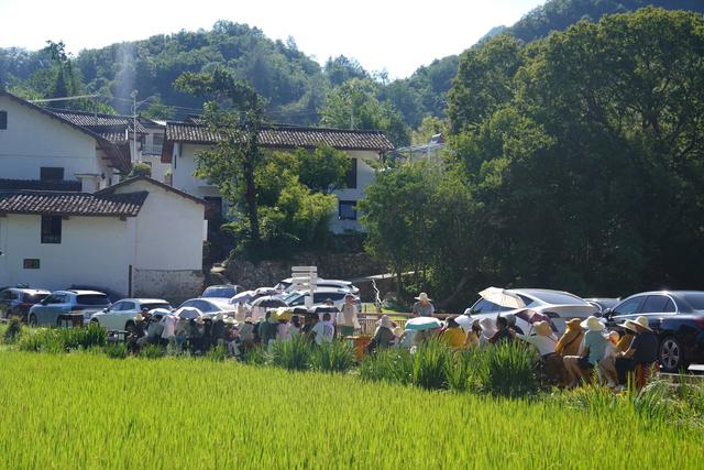 直播助力，宁陕周内民宿也火爆“清凉游”受热捧