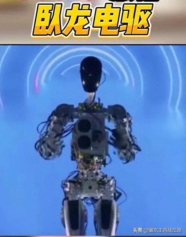 卧龙电驱在人形机器人领域有怎样的技术储备，与哪些公司有合作？