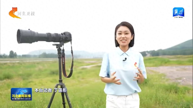 沿着河湖看河北 | ① 滹沱河：从一次特殊“家访” 探寻“活力密码”