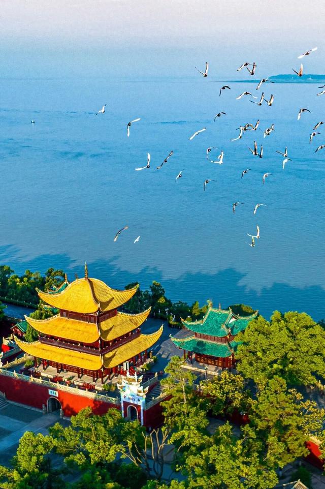 元旦旅行封神，赴一场江湖之约 | 岳阳元旦商家优惠大礼包来啦！