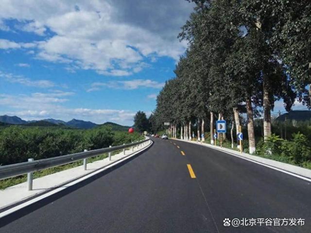 平关路藏着夏日凉方！摘桃、遛娃、喝咖啡一路开挂