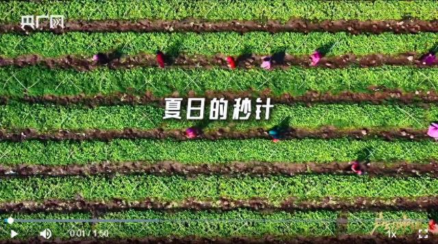 声动中国｜沿着北纬30°，寻找被夏天宠爱的烟火角落