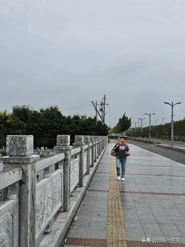 雨中梅湖露营基地的荷叶，更绿了，更美了，更柔了，更俏了！