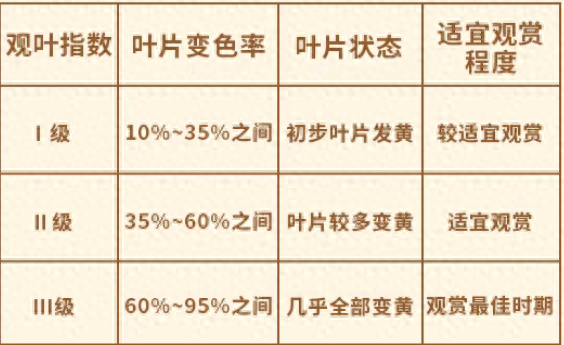 成都银杏即将进入最佳观赏期！2025银杏观叶指数新发布→