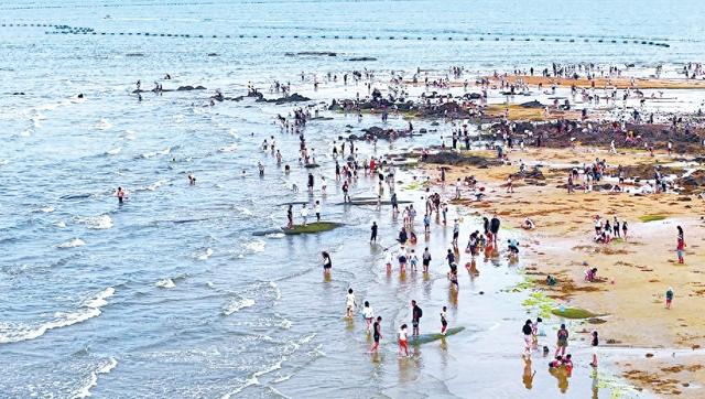 夏日海滨趣无穷
