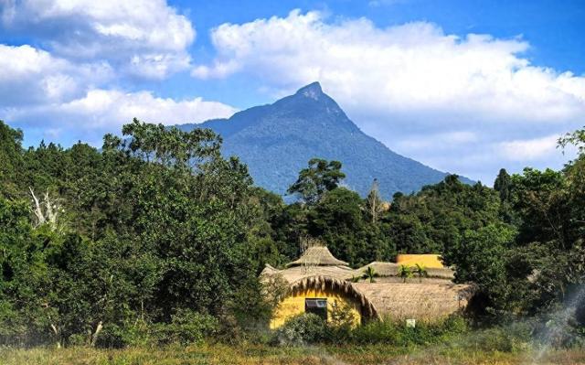 历史上的今天（11月18日）