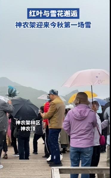 刚刚，湖北下雪了！