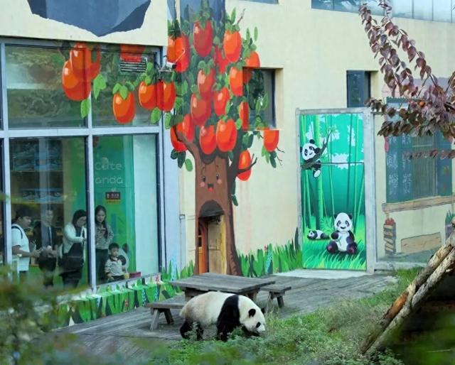 淡季优惠来了!这些秦岭景区向你发出冬日邀约