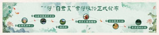 聚“荷”姑苏，新场景新消费！