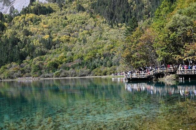 九寨沟彩林季迎“井喷式”客流 九绵高速助力自驾热