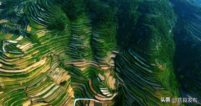 日照有一个美好的地方叫：龙山！