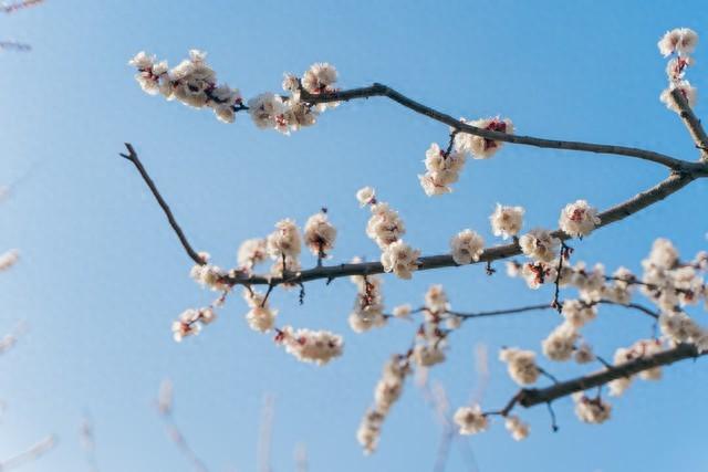 不管你信不信，女性过63岁后，基本都有如下6个现状！要坦然接受