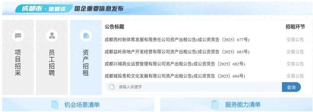 政府门户网站建设规范（成都国企重要信息公开提档升级操作指南来了→）