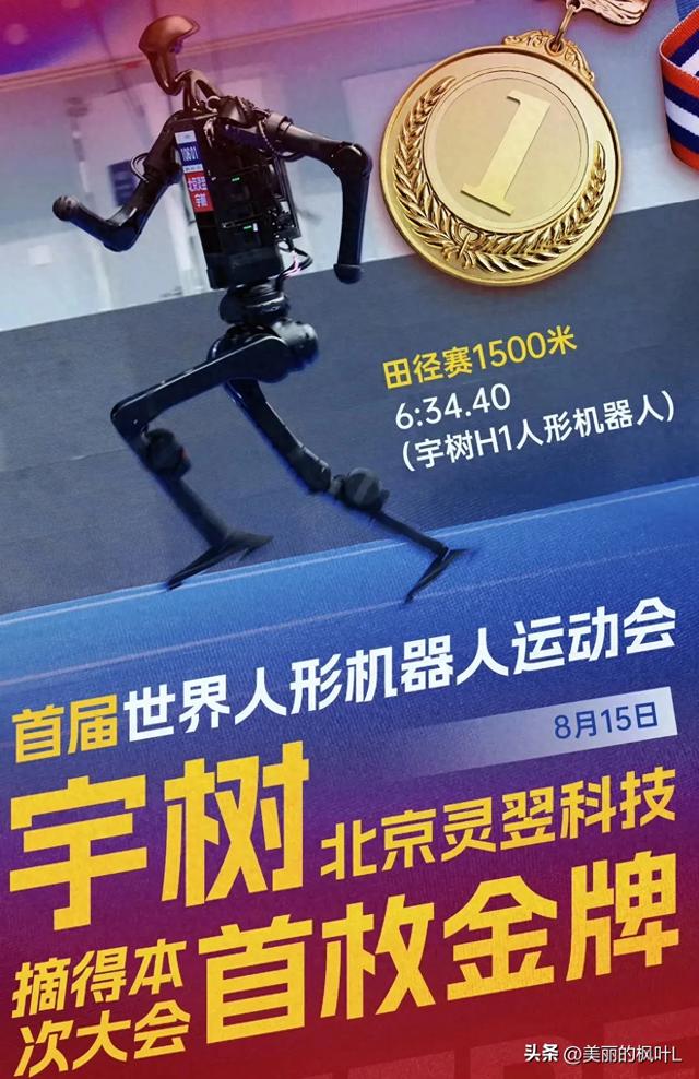 王兴兴谈宇树机器人夺冠：意料之中？这背后的技术突破才是关键！