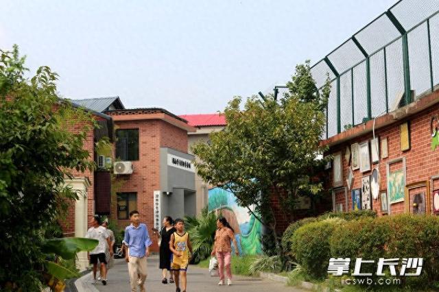 组图｜艺术后湖好打卡
