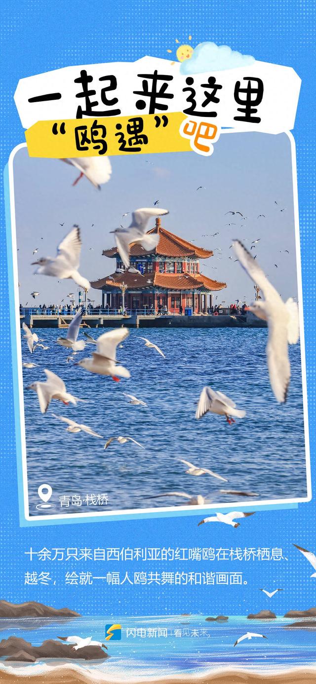 看候鸟、赏雪景、逛大集……在山东，冬天这样玩！