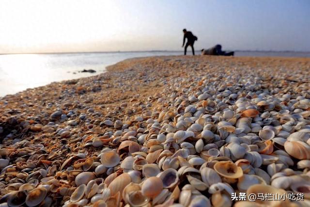 山东滨州保姆级攻略，藏在鲁北的宝藏小城太好逛了！