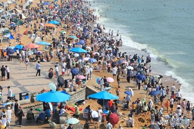 日照海滩被“攻陷”？本地人笑了：这才叫夏天的海味！