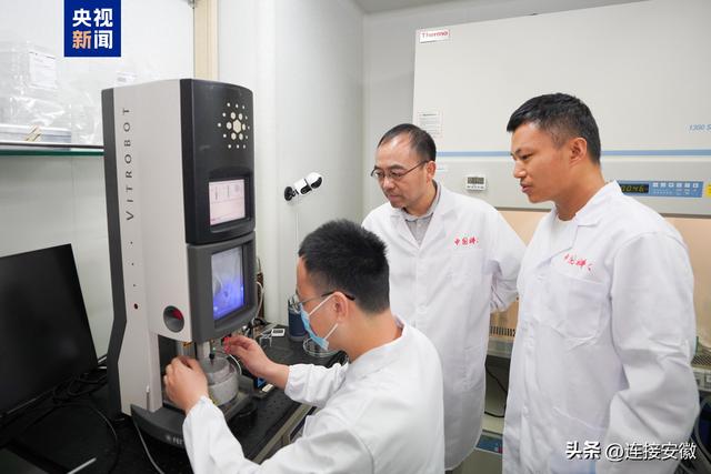 实现毫秒级“动态定格” 中国科大破解神经传信“微观密码”