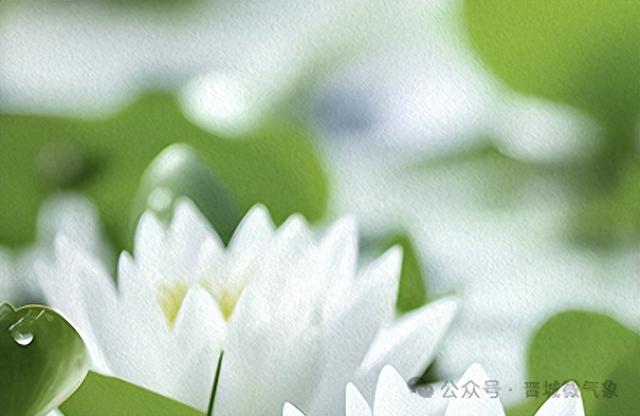 晋城明天有阵雨或雷阵雨！另旅游区天气