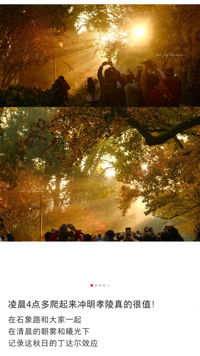 清晨5点，南京这里开始上人了