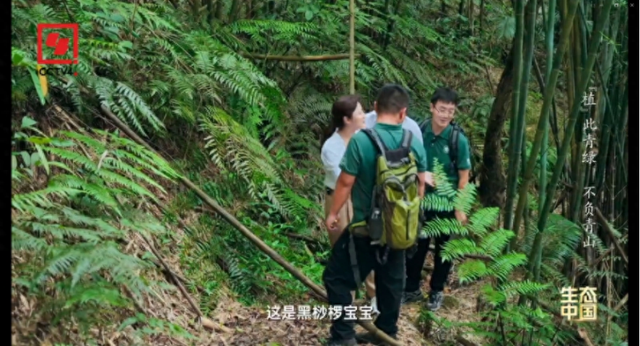 星湖，惊艳全国！这里到底有多美？