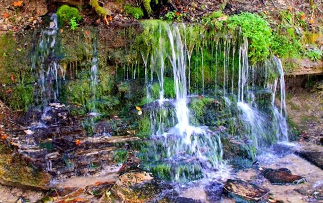 摘果、煮茶、吃油炸河虾 来丘北温浏乡感受纯粹的“诗与远方”