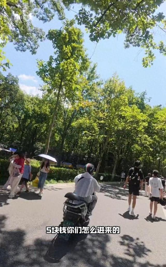 游客称南京钟山核心景区白天禁入电动车，却有拉客车穿梭，景区回应