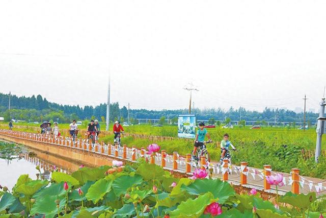 环滇骑行，从江尾开始