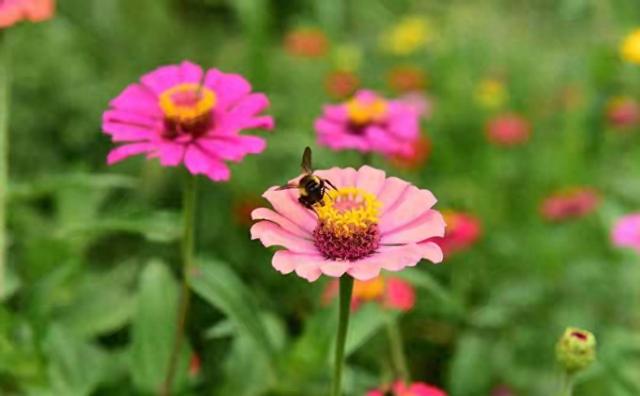 附近的人看不到我怎么办（如果周围的人）