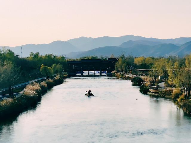清河之洲好似江南水乡：冬阳芦苇碎碎金，野鸭浮波阵阵漪