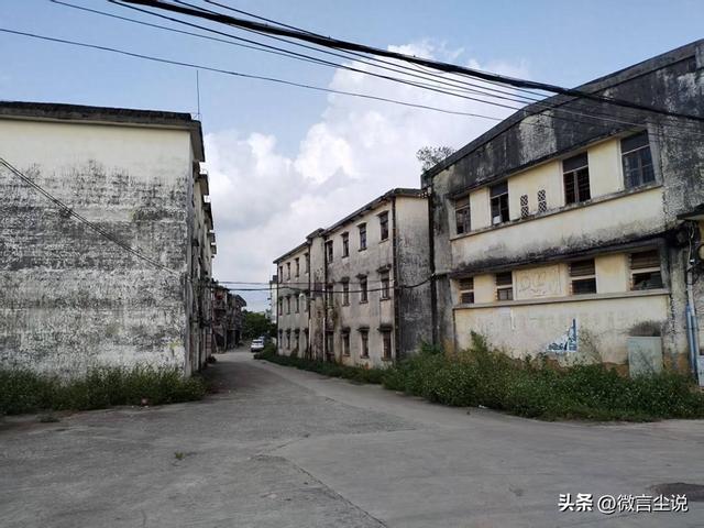 我在广东石菉铜矿下岗后，默默地承受着生活的磨砺