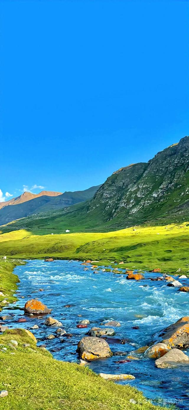 手机壁纸|春意盎然