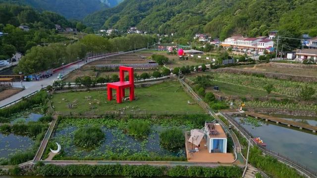 佛坪晚夏寻凉意，猫进秦岭躲避“秋老虎”！