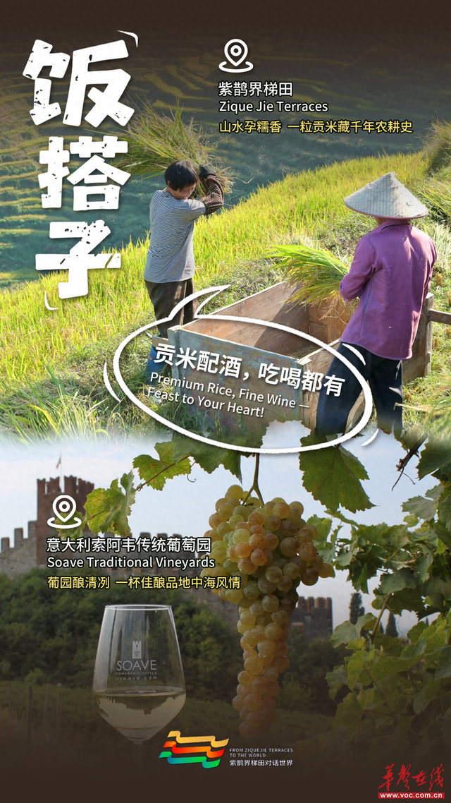 【双语海报】紫鹊界全球“摇人”：解锁我的世界级神仙搭子
