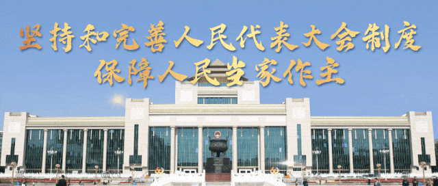 罗丽岩：让巴马旅游火出圈更出彩