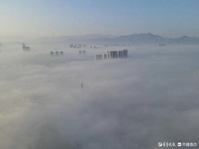 邹平雾气缭绕，宛如仙境