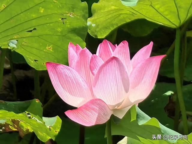 旅游可以，烧香拜佛不可取！
