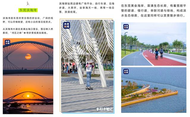 大湾区“绿道天花板”绝绝子！央视新闻也为东莞滨海湾“打call”