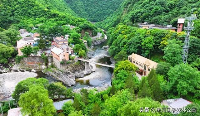 陕西黑河国家森林公园开园通告