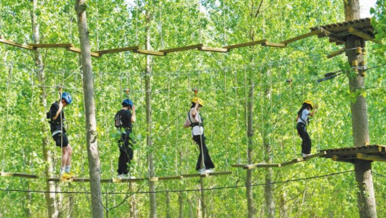 巧打生态牌 林间筑乐园