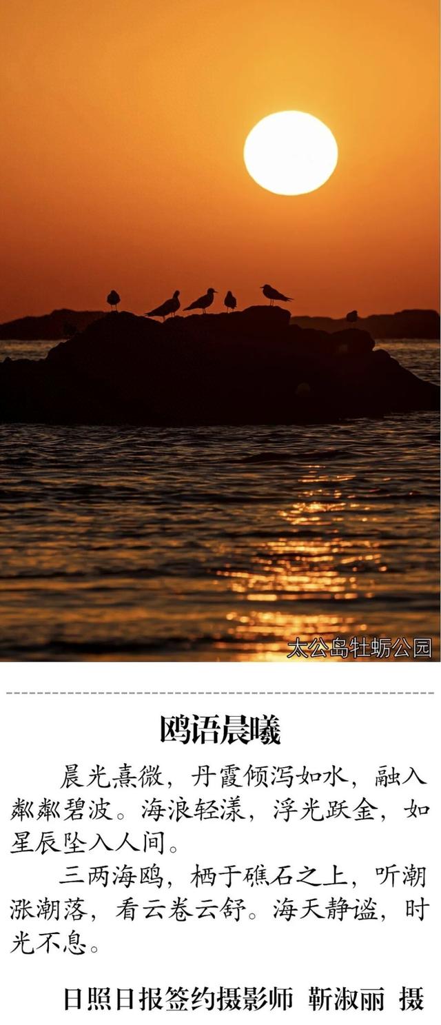 秋日限定！就在日照这些地方！