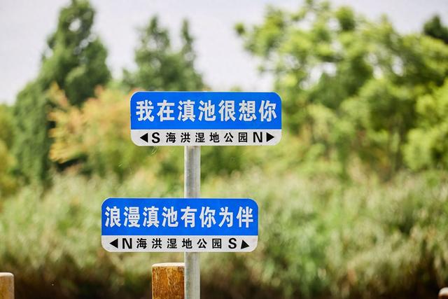 昆明海洪湿地公园，红杉林里划船，这里是现实版的“绿野仙踪”