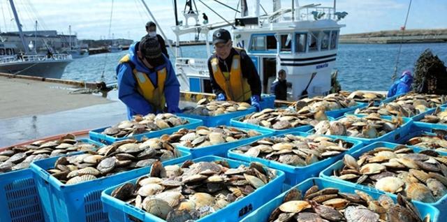 日方刚离开北京，高市收到噩耗，中方动真格了，对日下了一道禁令