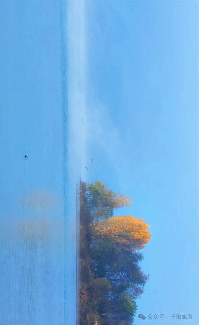 我在千湖湿地撞见了冬天的温柔