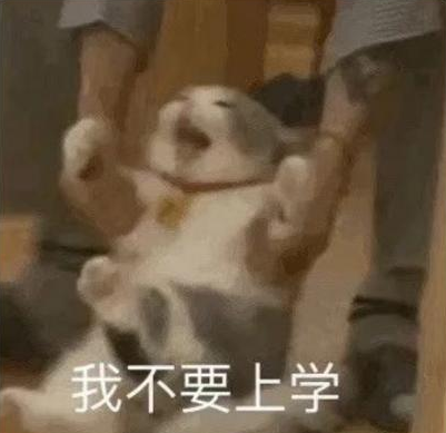【想撒欢，来靖安】开学别EMO！“周末出游急救包”正在派送中......
