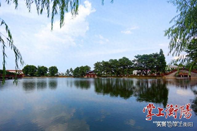 首届金甲岭萝卜节火热来袭，四大玩法解锁衡阳乡村年味狂欢