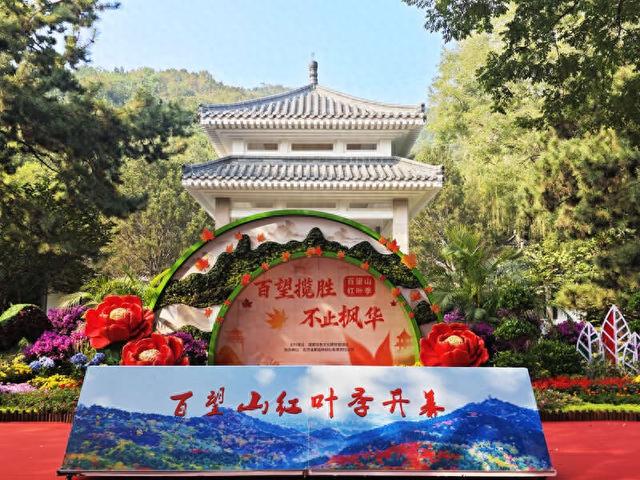 2025年百望山森林公园开启红叶季