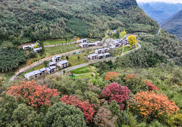 四川华蓥：彩林如画映山间 斑斓冬景迷人眼